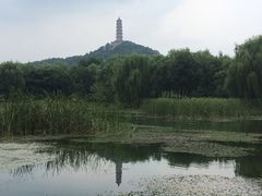 -北坞公园