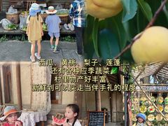 -乌村