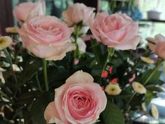 -阳光家常菜游客餐厅(千佛山店)