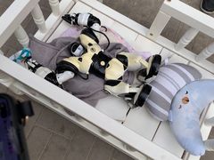 -品味居·首店·大连鲜活海鲜大连菜(东港店)