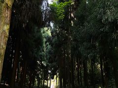 -太阳湾风景区