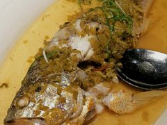 雪菜笋丝蒸大黄鱼-麟1929(外滩店)