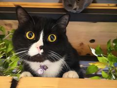 -么么咖啡(燕郊店)