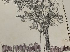 -八哥美术·成人美术画室(总校区)