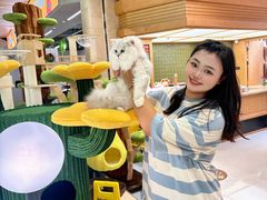 -帕帕拉兹宠物(亚洲旗舰店)