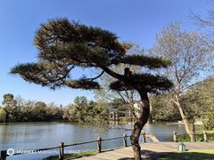 -新荣记(西溪湿地店)