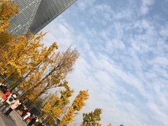 -两江幸福广场