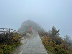 -牛背梁国家森林公园