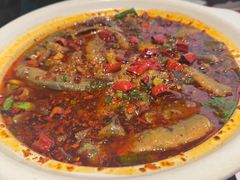 -情妹耙泥鳅·江湖川菜(科华店)