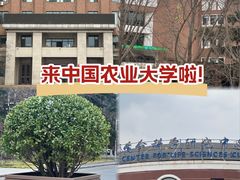 -中国农业大学(西校区)