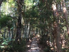 -井冈山风景名胜区-黄洋界
