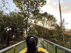 -七仙岭温泉国家森林公园