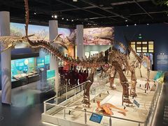 -国家自然博物馆