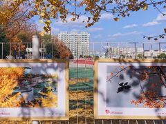 -辽东学院(南校区)