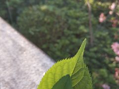 -乌山风景区