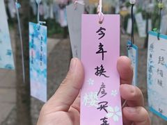 -剑门关风景区