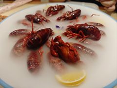 -杨氏青龙虾·羊蝎子(珠江路店)