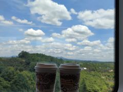 -茶颜悦色(登高路上店)