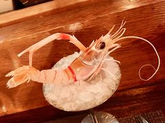 -斯普汇生蚝牛排馆(中骏世界城店)