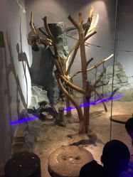 -未来动物城动物主题公园(大悦城店)