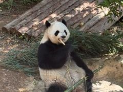 -泉州海丝野生动物世界