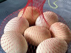 -天芳悦潭度假村温泉