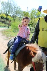 -萌宠亲子动物乐园(槐房万达店)