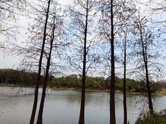 -东莞植物园