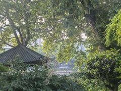 -雨湖公园