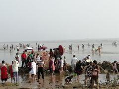 景点-鸽子窝公园