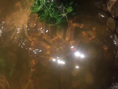-綱元·海鲜豆捞(明州里店)