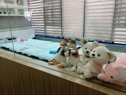 -宝生月子中心·独栋独院式(南山店)