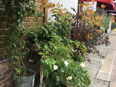 -伦敦比斯特购物村