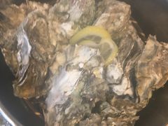 疏压生蚝-海食焗(新光天地店)
