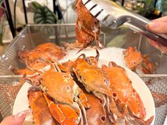 -南湖名都·景湖轩全日制餐厅·海鲜自助·东南亚风味·临湖而食