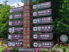 -西双版纳原始森林公园