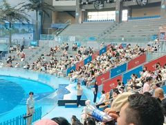 -海合安成都极地海洋公园