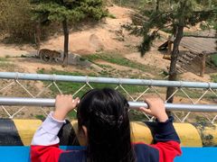 -西霞口神雕山野生动物世界