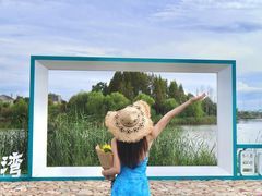 -杭州湾海上花田景区