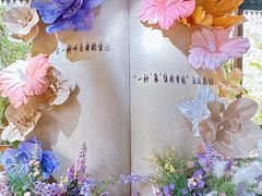 -野象谷景区