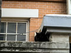 -老味道(田子坊店)