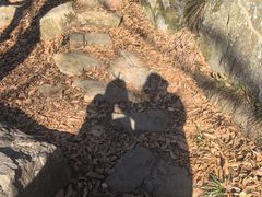 -宝岩生态观光园