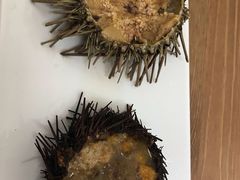 -海胆小馆(东北水饺·春柳店)