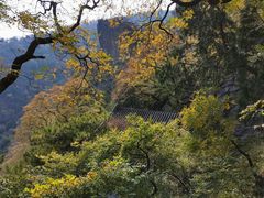 -北京鹫峰国家森林公园
