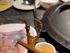 -大鱼山房鱼头火锅(老字号品质店)