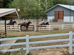 -清迈夜间动物园