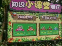 -广州长隆飞鸟乐园