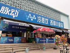 -保定市动物园