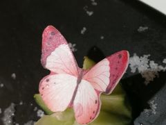 -后宫私房菜(汇客美食娱乐广场店)