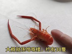 -八仔大富楼·河鲜(西江店)